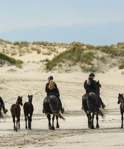 Terschelling ride 