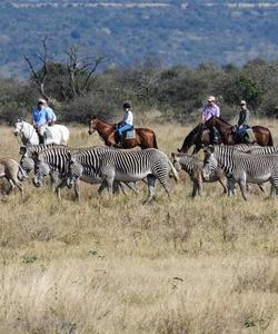 Kenya Riding Safari