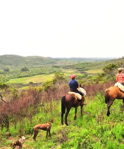 Uruguay Horse Riding