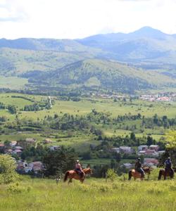 Slovenia Horseriding