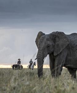 Kenya Riding