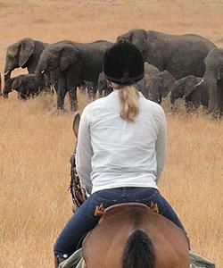 Kenya Riding Safari