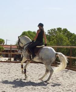 Portugal Riding Lessons