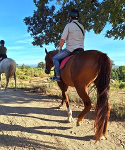 Portugal Riding