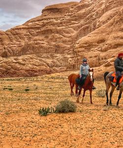 horse riding tours jordan