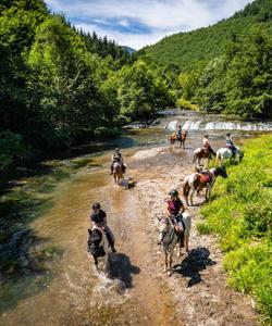 Bosnia Riding