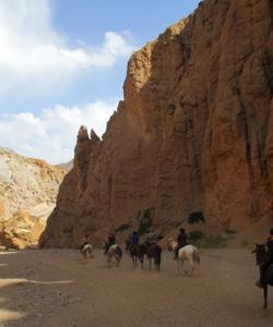 Spain Horse Riding