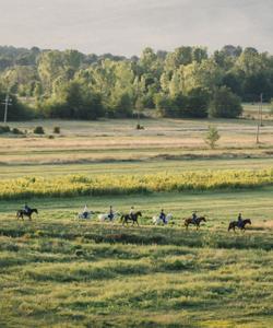 Bosnia Horse Riding