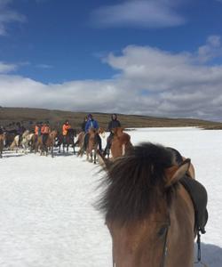 Iceland Riding