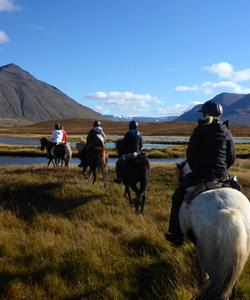 Iceland Horse Riding