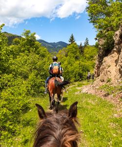 Georgia Horse Riding