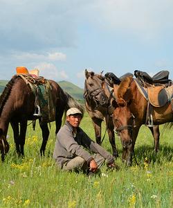 Mongolia Riding