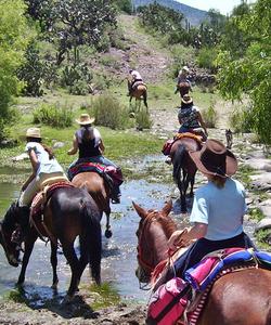 Mexico Horse Riding