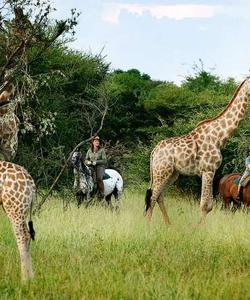 Botswana Riding Safari