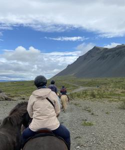 Iceland Horse Riding