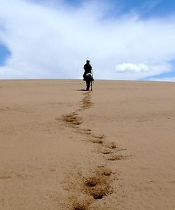 Mongolia Horse Riding