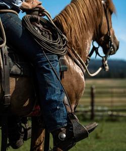 Rider atop a horse 