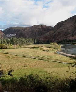 Peru