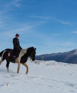 Bosnia Riding