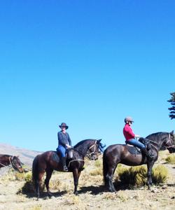 Andalusia Horse Riding