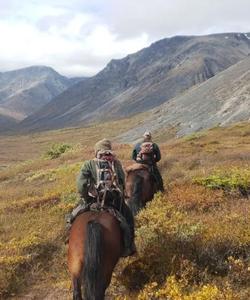 Equestrians exploring the Yukon 