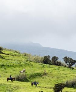 Azores Riding