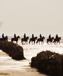 Denmark Riding