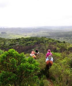 Uruguay Horse Riding