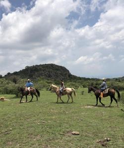 Mexico Horse Riding