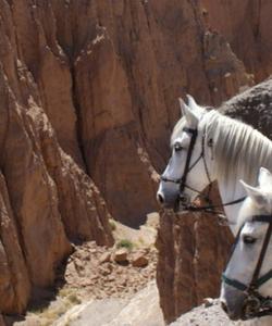 Spain Horse Riding