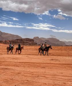 Wadi Rum Riding