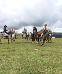 China Horse Riding