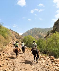 Uzbekistan Horse Riding