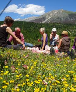 People on a picnic