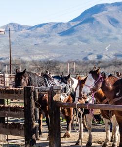 Arizona Ranch