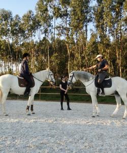 Portugal Riding Lessons