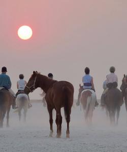 Botswana Riding