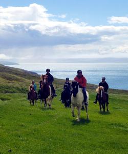 Iceland Horse Riding