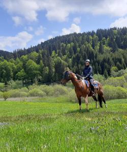 Bosnia Horseriding