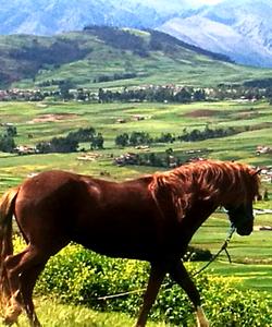 Peru Horse Riding