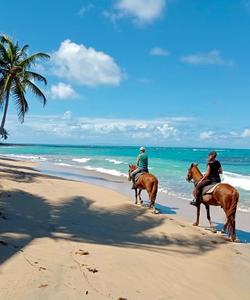 Caribbean Horseriding