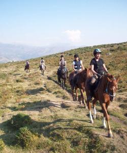 Portugal Riding