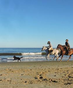 Uruguay Horse Riding