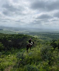 Uruguay Horse Riding