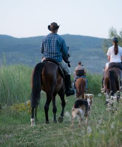 Bosnia Horse Riding