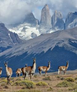 Patagonia Trekking