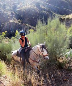 Spain Horse Riding