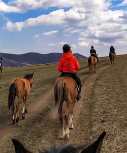 Georgia Horse Riding