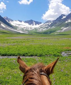 Kyrgyzstan Riding