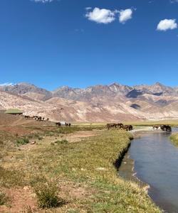 Argentina to Chile Riding